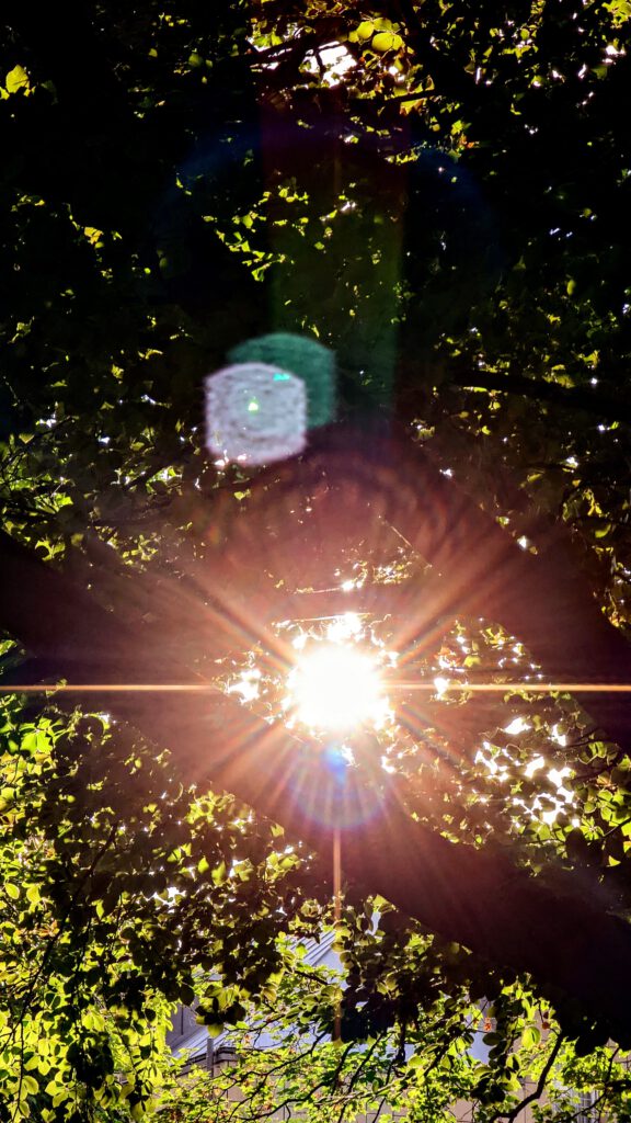 Sonnen scheint durch Blätter eines Baumes