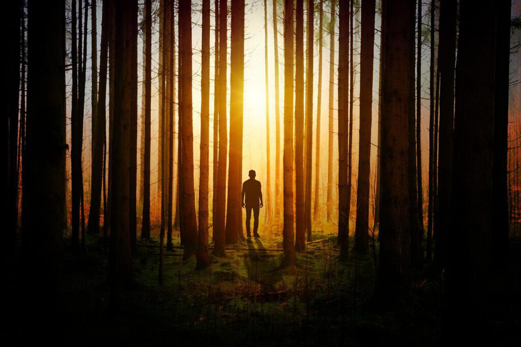 Mann im Wald mit Sonnenaufgang hinter Bäumen